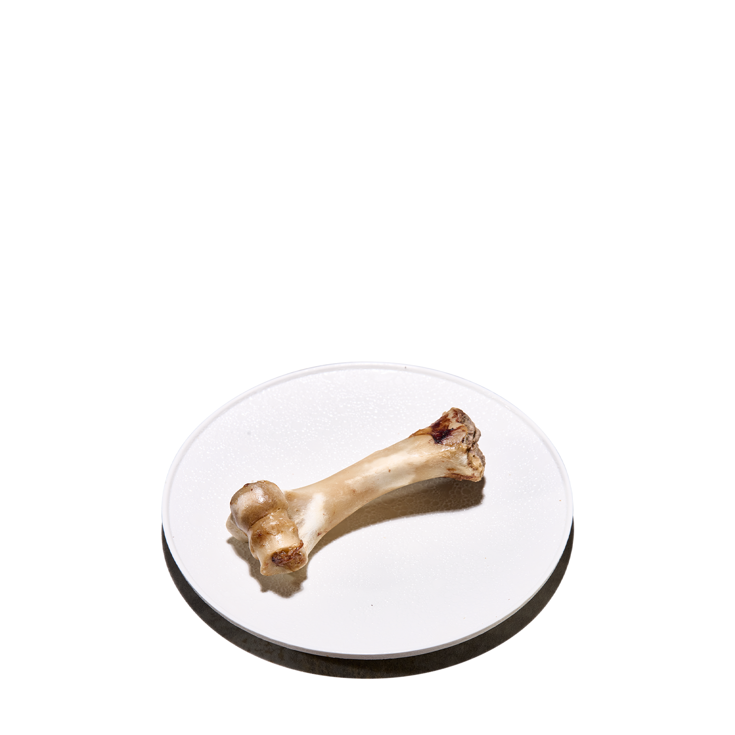 BONE（Thigh bone）