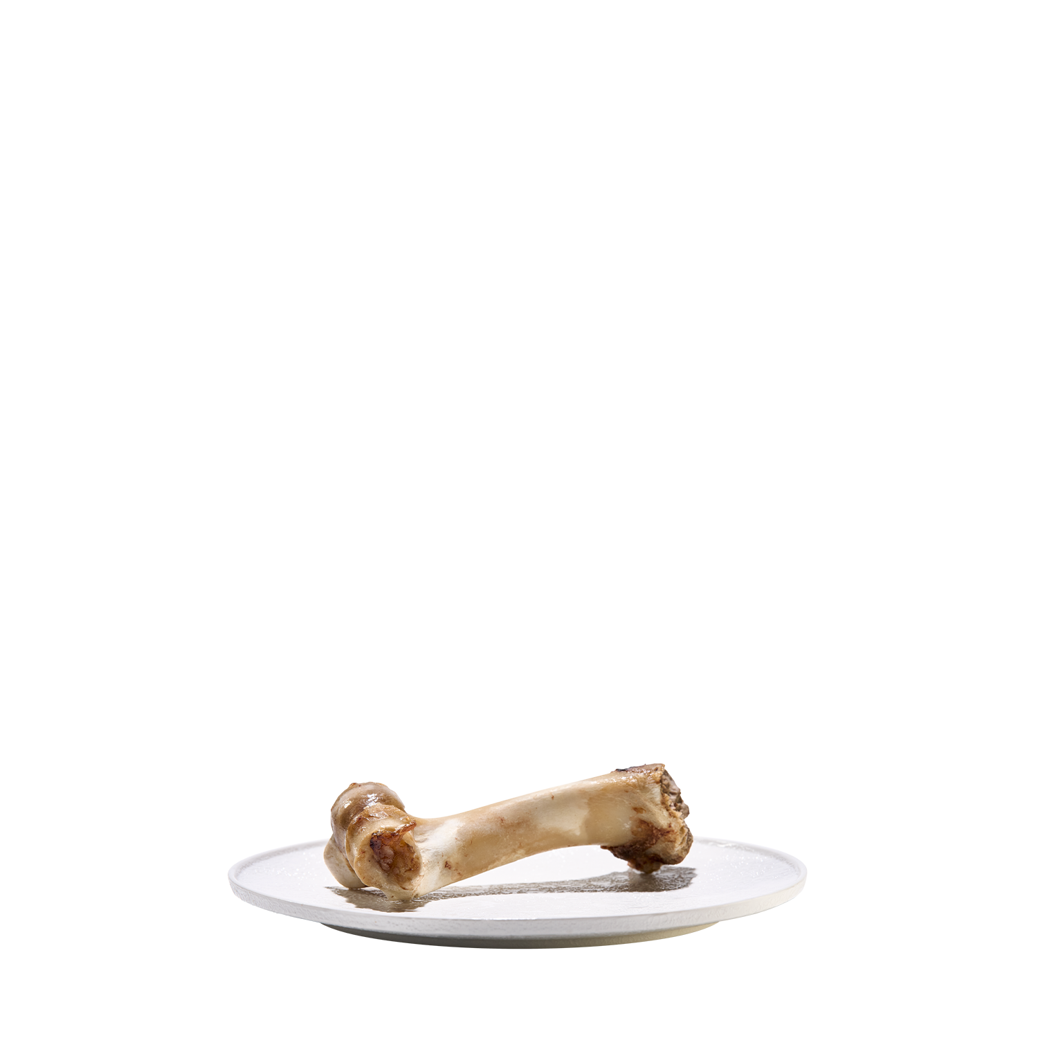 BONE（Thigh bone）